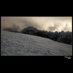 ..ZIMNI POHLEDY II..