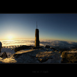 Ještědka středová