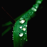 ...a ide sa z kopca...