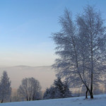 ZIMA II.