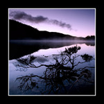 Tasmanie - Lake Adelaide