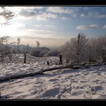 Cestou na Vysoku Male Karpaty