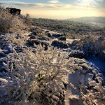 Příjemné odpoledne