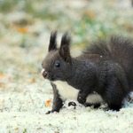 Brrrr,to to studí....