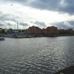 pták proráží mraky nad Bristolem