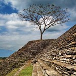 Vsazen do historie...