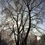 Tanečníci