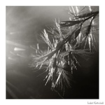 Slnečné pohladenie II.