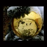 Nové Město v odrazu