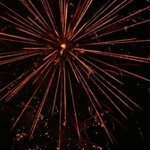 PF2009