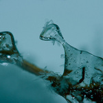 Ice Age