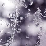 cold