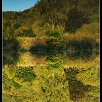 Zrcadlení na Berounce