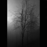  strom
