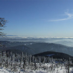 Bold Mountain