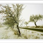 Čas ponurého pozdního podzimu