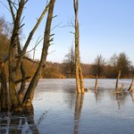 mělo to být zrcadlení.....