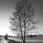 na okraji v paprscích