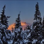 Sněžka z černého lesa...