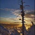 zapadání za padání