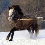 dokolečka dokola...