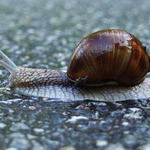 Každý si nese své břímě