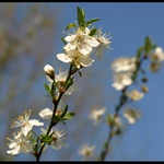 Když ještě nebyla zima...