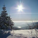 Pohled z Lysé Hory...