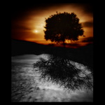 Living in the world without you