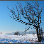 Pozdrav z Krušných hor