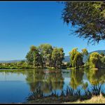 Jezírko v Duchcově