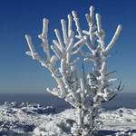 ...fragmenty zimy...