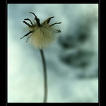 Jedna * sama*sni dál,,,,,,,,,,,,