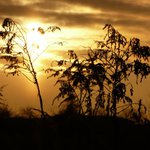 Zapad Slunce na Borech