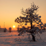 Západ slunce nad Borskými poli II