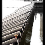 Na okraji společnosti