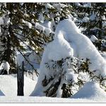 Zimní Krajina-Krakonoš