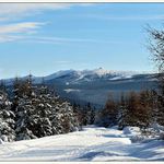 Pohled na Krkonoše od Jakuszicz