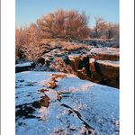 Děčínský Sněžník