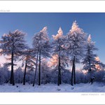 Děčínský Sněžník