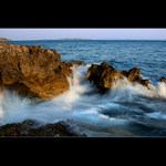 Najdi mořského koníka