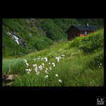 Skandinávská melancholie