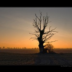 Když u Zaječic svítá