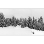 Mořina Bukovec (někde v mlze)