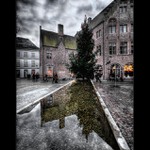 Bružský vánoční strom