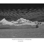 Podtatranský strom bw