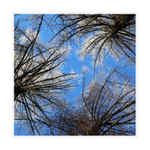 pocukrované modříny