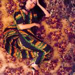 spring sommer automme bronco albero