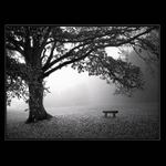 Místo k rozjímání