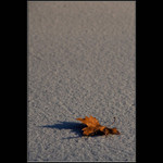 V mrazivých paprscích zapadajícího slunce...